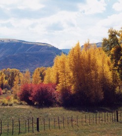 Vibrant autumn foliage features bright yellow and red trees against a mountain backdrop