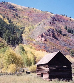 Quaint log cabin nestled in a vibrant autumn landscape